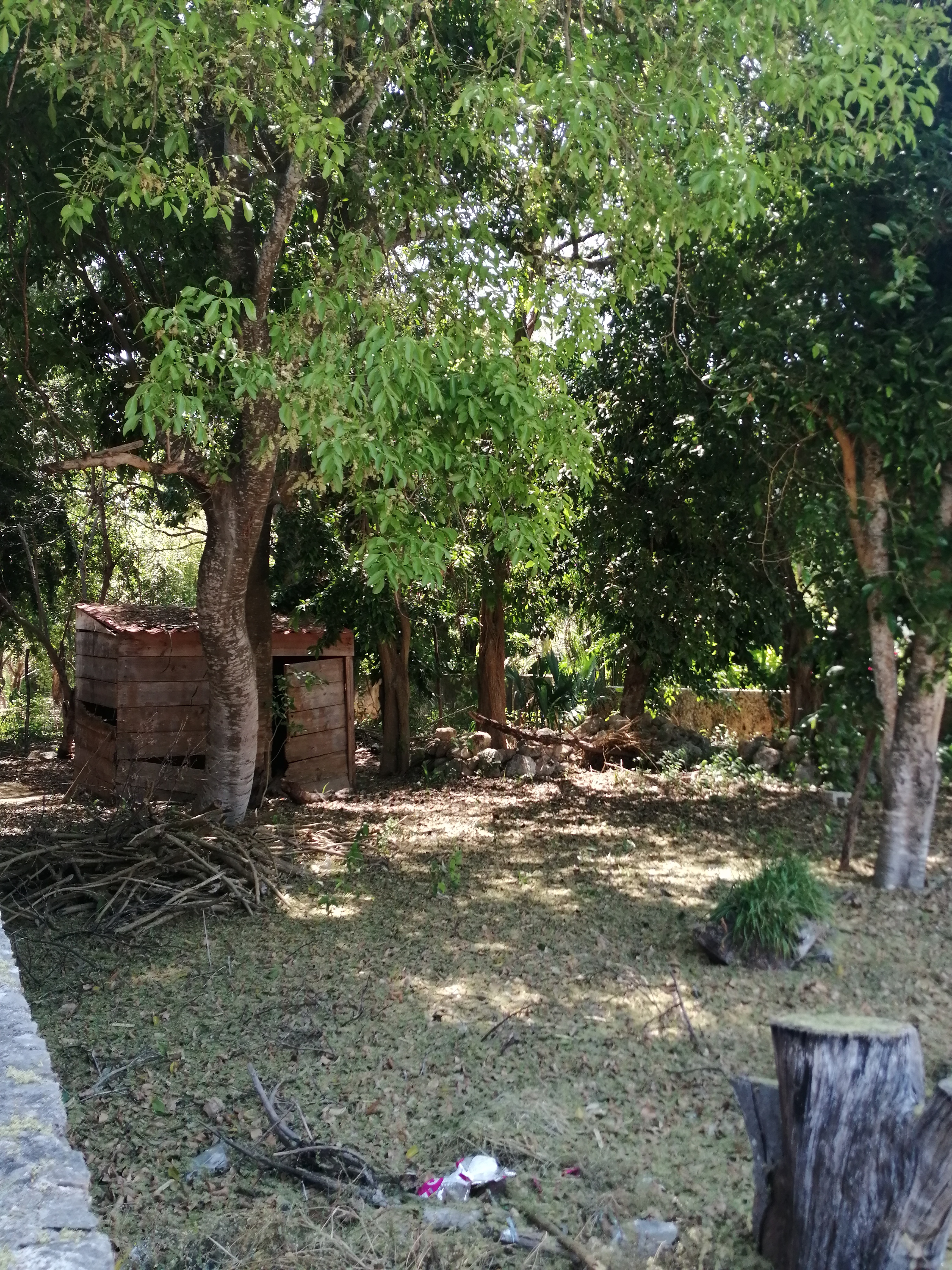 Foto 5