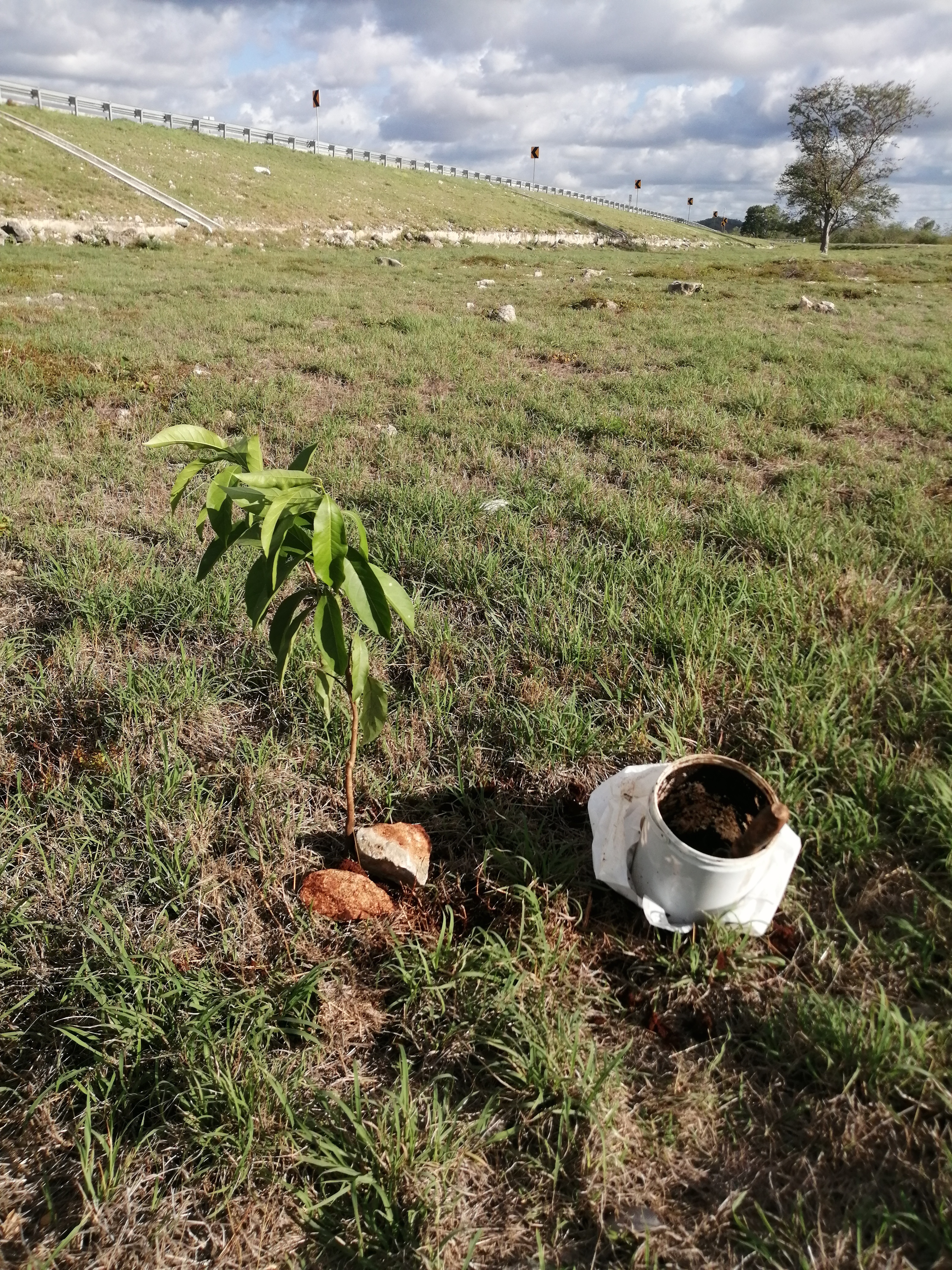 Foto 8